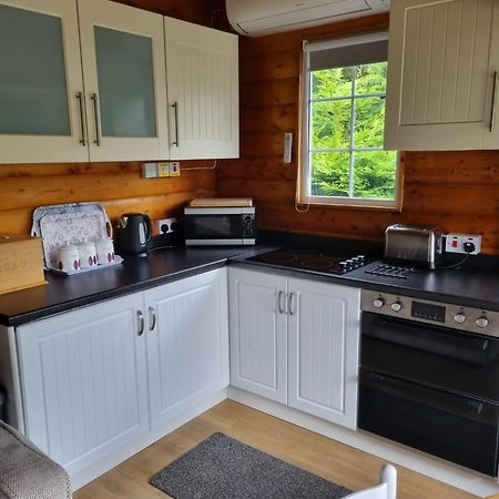 Mountain View Log Cabin In Snowdonia Nr Coed Y Brenin Tanygrisiau ภายนอก รูปภาพ