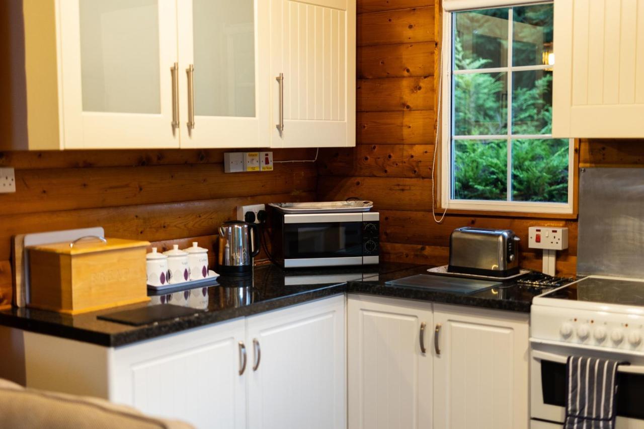 Mountain View Log Cabin In Snowdonia Nr Coed Y Brenin Tanygrisiau ภายนอก รูปภาพ