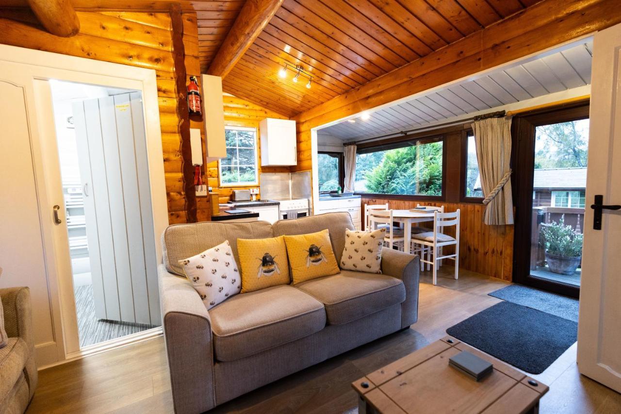 Mountain View Log Cabin In Snowdonia Nr Coed Y Brenin Tanygrisiau ภายนอก รูปภาพ