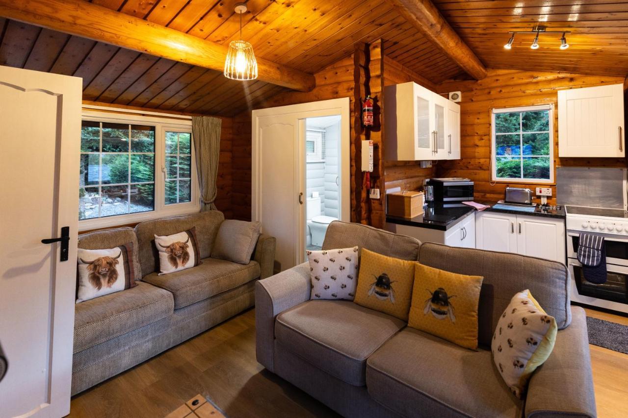 Mountain View Log Cabin In Snowdonia Nr Coed Y Brenin Tanygrisiau ภายนอก รูปภาพ