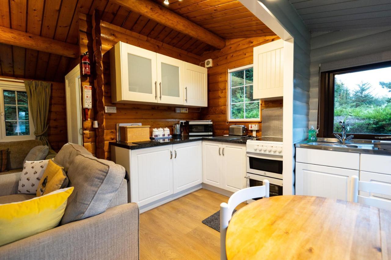 Mountain View Log Cabin In Snowdonia Nr Coed Y Brenin Tanygrisiau ภายนอก รูปภาพ